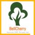 BellCherry Ventures Logo 4 Colour